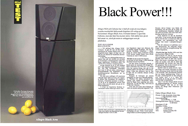 Mirsch Allegro Black Aros NG9