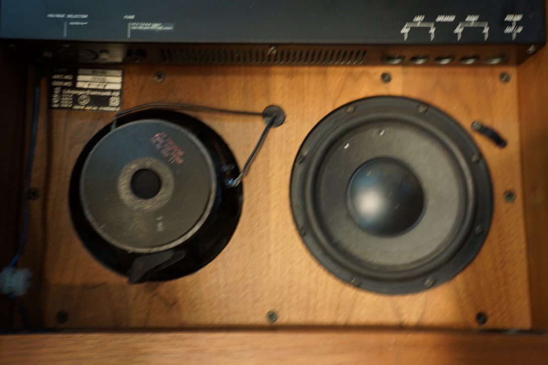 Audio Pro B2-50